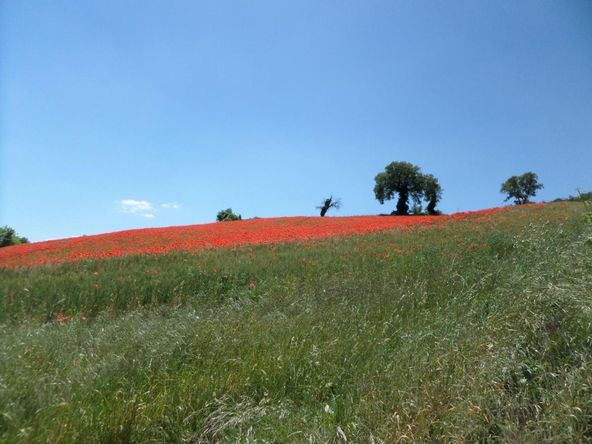B&B Casa Cuccagna Fratte Rosa Экстерьер фото